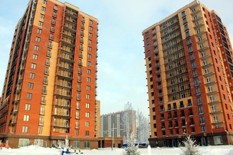 Стрижи Новосибирск Фото